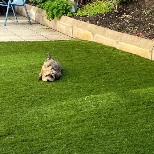 WhatsApp-Image-2024-10-08-at-19.11.04-2